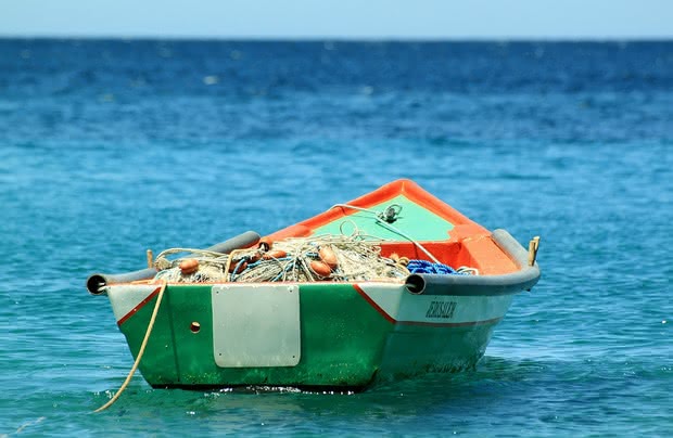 Defeso é o período de reprodução dos peixes em que é proibida a pesca