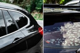 Carro com insulfilm automotivo