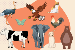 Ilustração de jogo do bicho